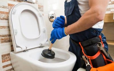 ¿Se pueden tirar toallitas húmedas y papel en el retrete?